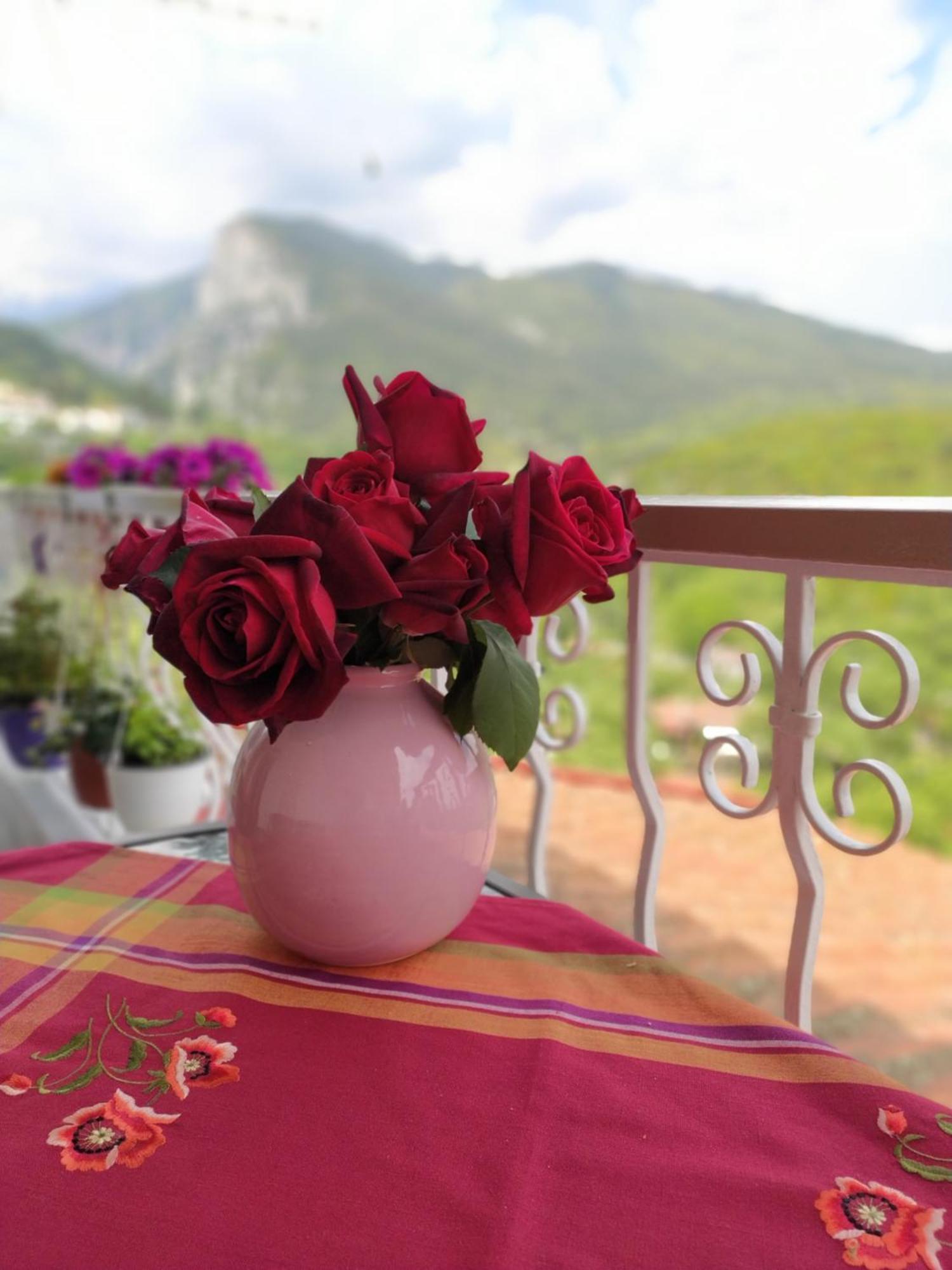 Olympus View Rooms Sauna & Spa Litóchoron Dış mekan fotoğraf